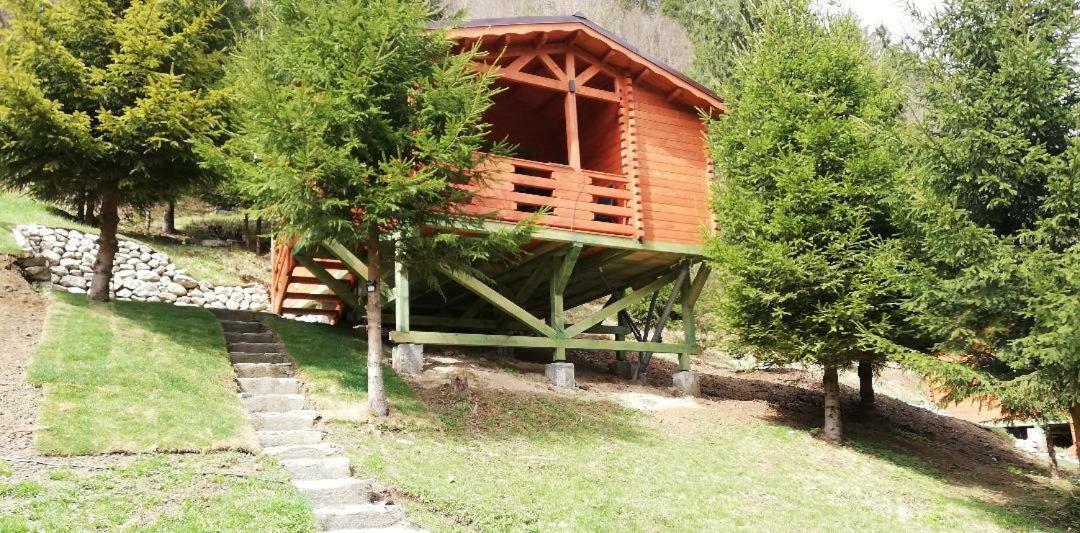 Cabana Casa Craita Zarnesti Exterior photo